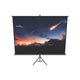 celexon Economy Mobile 244 x 138cm - 110" Stativleinwand – 3D-Modell