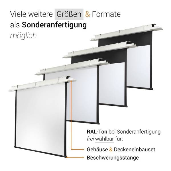 Celexon Deckeneinbau Leinwand Motor Expert 250 x 140 cm