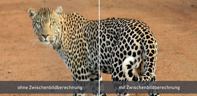 Hisense L9Q TriChroma Zwischenbildberechnung Vergleich