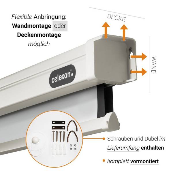 Celexon Leinwand Rollo Professional 280 x 158 cm