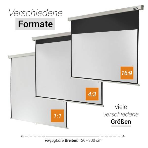 Celexon Leinwand Rollo Professional 240 x 135 cm