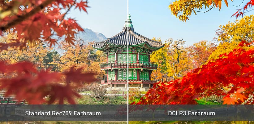 LG HU810PW Forte DCI Farbraum Vergleich