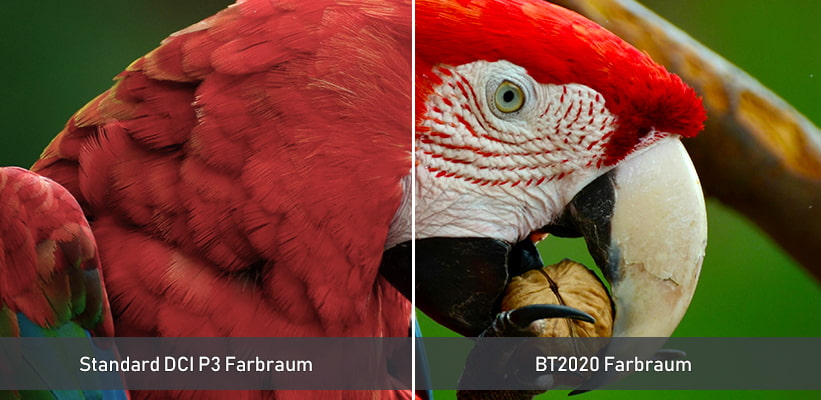 XGIMI Horizon 20 Pro Farbraum BT2020