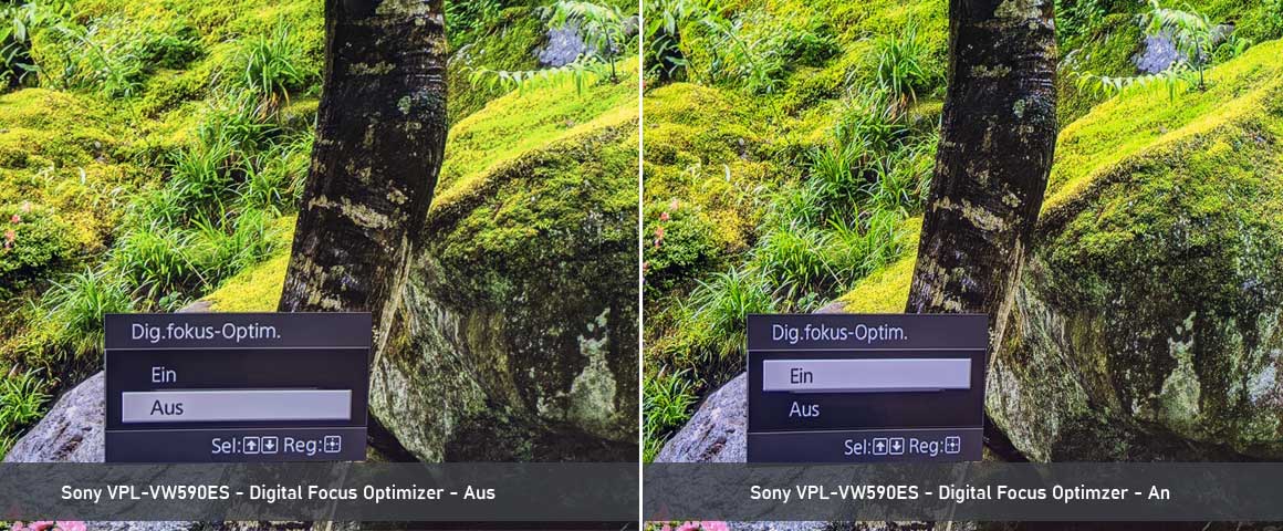 Sony Digital Focus Optimizer Test