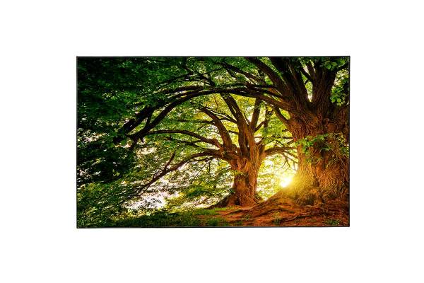 celexon Bright Onyx UST Kontrastleinwand 220 x 124cm - 100" SlimLine Rahmenleinwand