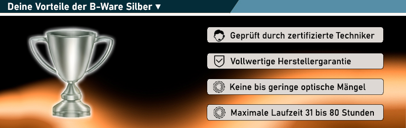 Infos und Vorteile zur B-Ware Silber