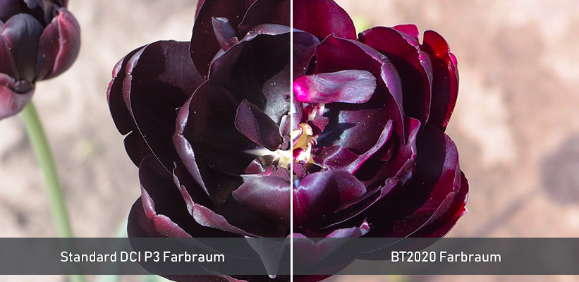 JMGO N1S SE BT2020 Farbraum Vergleich