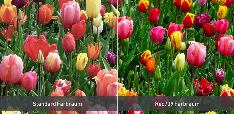 Acer PD1800 Farbraum Test Vergleich