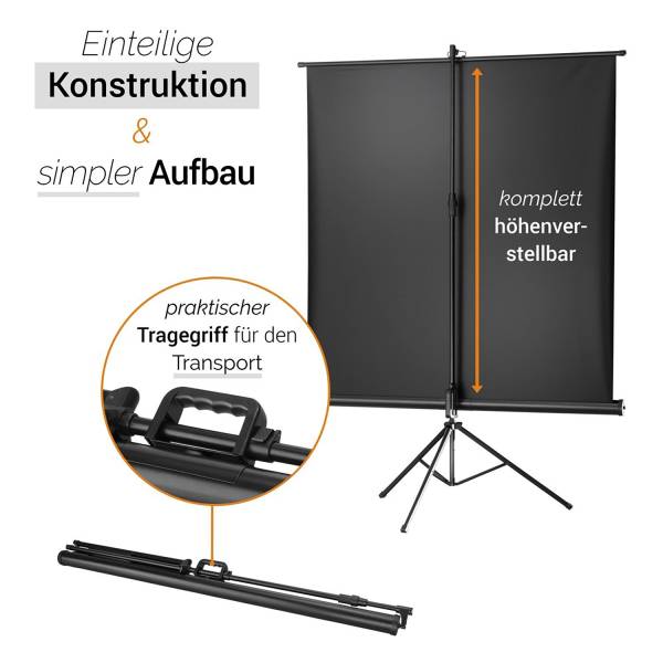 celexon Economy Mobile 244 x 138cm - 110" Stativleinwand