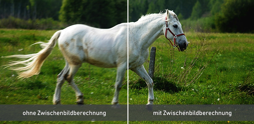 Epson EF-61G Zwischenbildberechnung