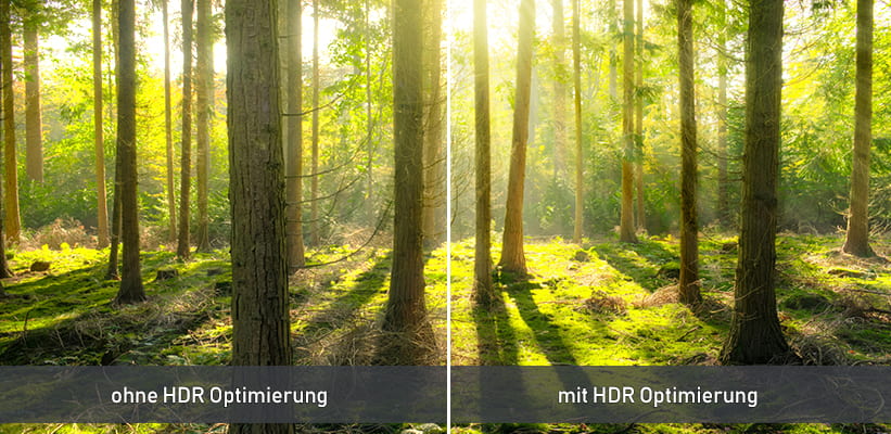 Epson EF-73 HDR Optimierung Kontrast Vergleich