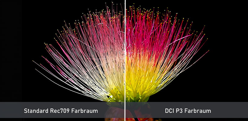 Samsung Q80C QLED Farbraum Vergleich