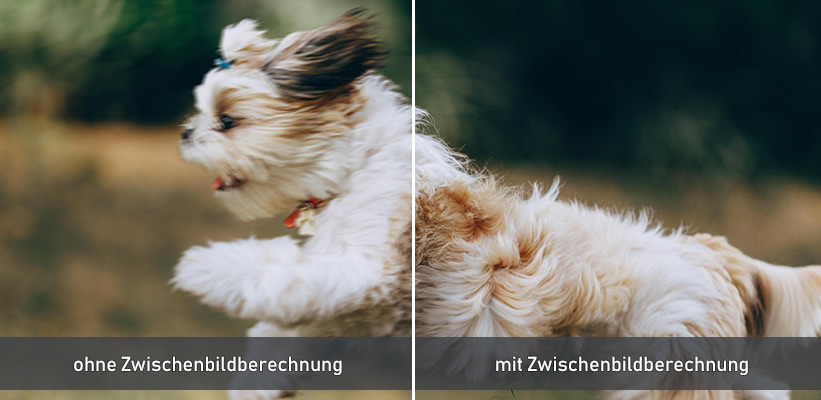 LG ProBeam BU70QGT TruMotion Zwischenbildberechnung