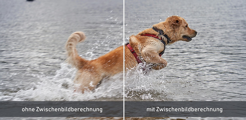 Optoma Photon Beam PK52 PureMotion Zwischenbildberechnung Vergleich