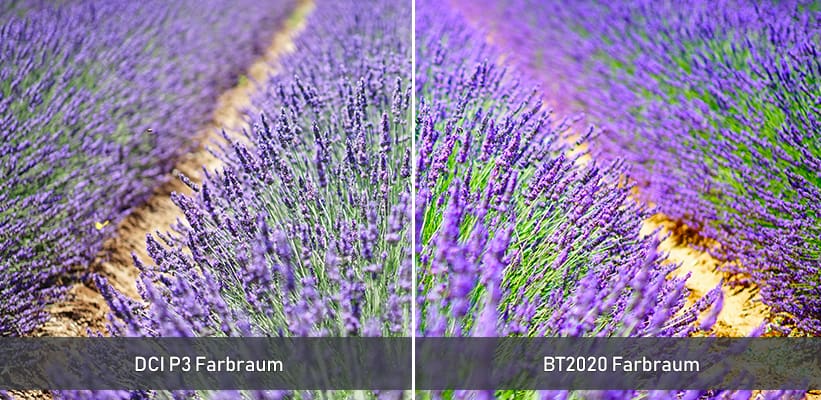 XGIMI Horizon 20 Farbraum BT2020