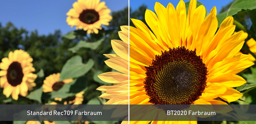 JMGO N3 BT2020 Farbraum Vergleich