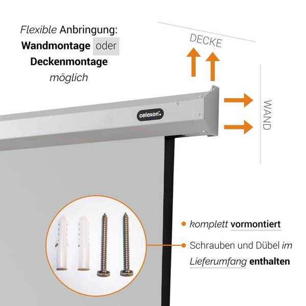 Celexon Leinwand Motor Economy 280 x 158 cm