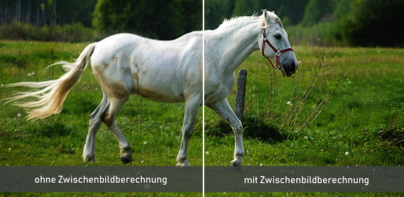 Hisense PT1 TriChroma MEMC Zwischenbildberechnung Vergleich