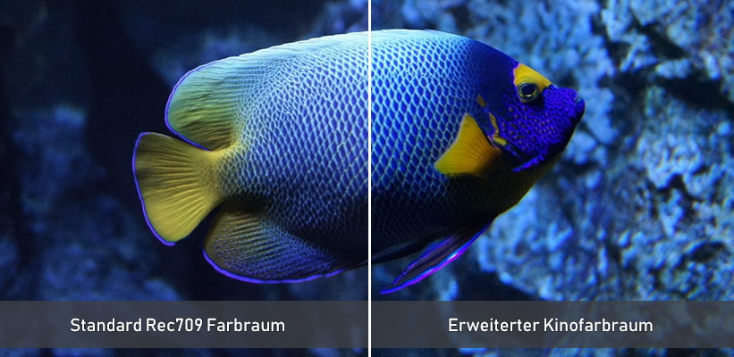 Optoma UHZ68LV-W Farbraum Vergleich