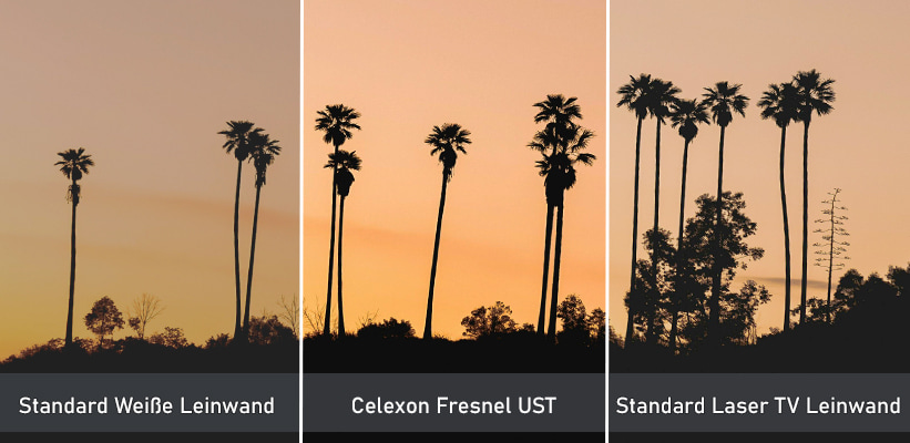 Celexon Fresnel UST Schwarzwert und Kontrast Performance