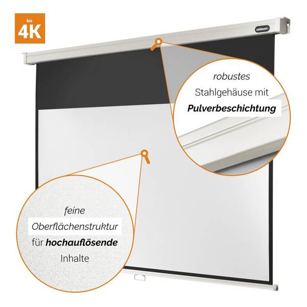 Celexon Leinwand Rollo Professional 220 x 124 cm