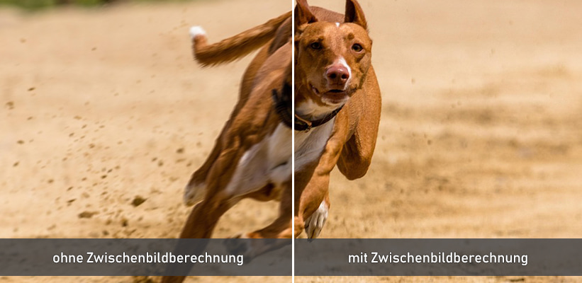 Hisense C3 TriChroma MEMC Zwischenbildberechnung Vorteil