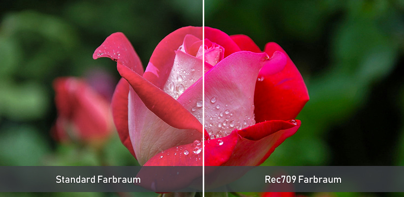 Acer PD1520Us Farbraum Praxisvergleich