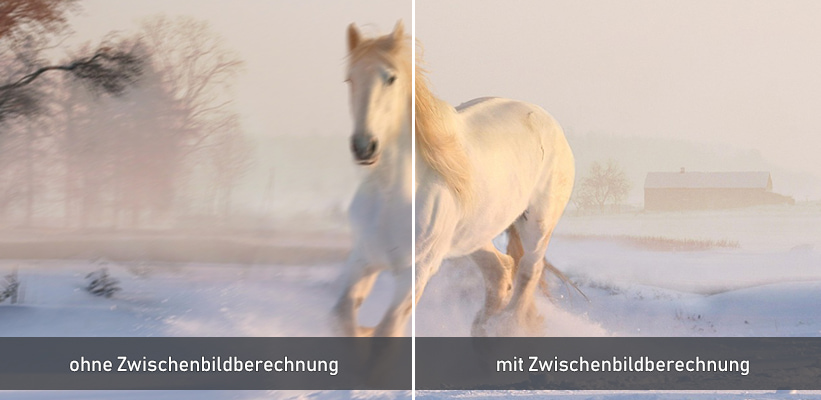 JMGO N3 MEMC Zwischenbildberechnung Test