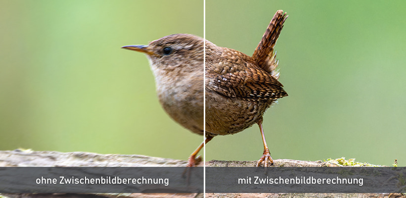 Hisense XR10 TriChroma MEMC Zwischenbildberechnung Vorteil