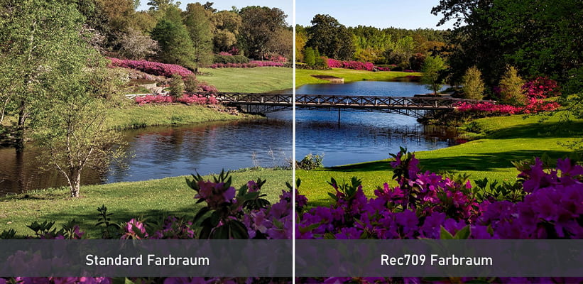 Optoma UHZ35 Rec709 Farbraum Gewinner