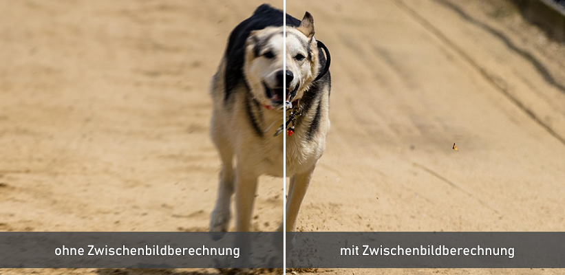 JMGO N1S Ultimate MEMC Zwischenbildberechnung Test