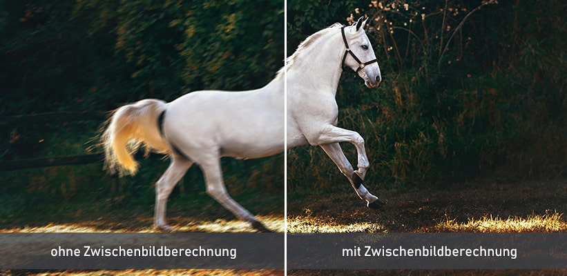 XGIMI Horizon 20 Zwischenbildberechnung