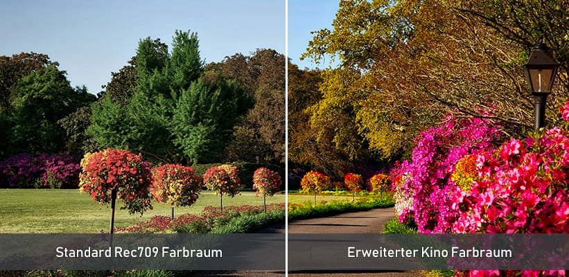 Epson EF-61G Farbraum Direktvergleich