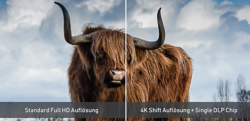 Hisense XR10 TriChroma 4K Bildvorteil