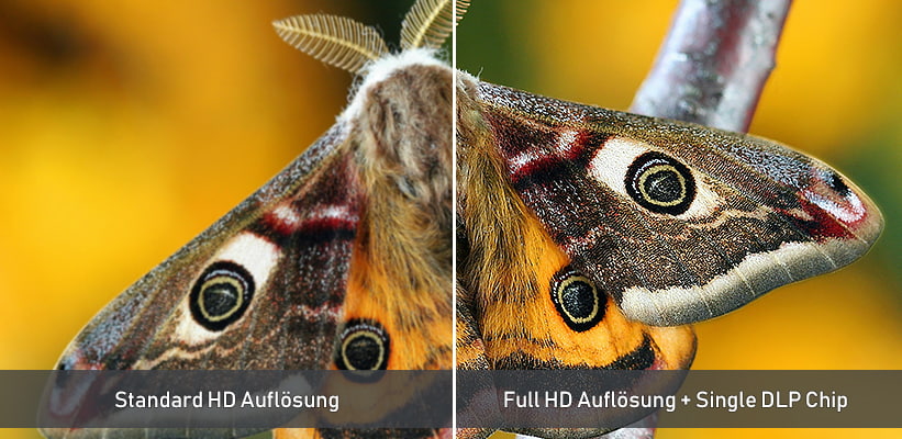 ViewSonic LS740HD Full HD oder HD Unterschied Praxis