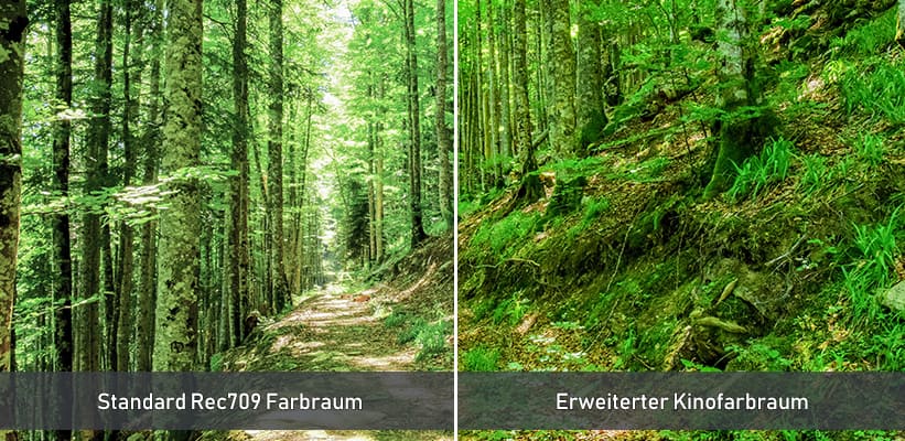 Epson EF-73 erweiterter Kinofarbraum Direktvergleich