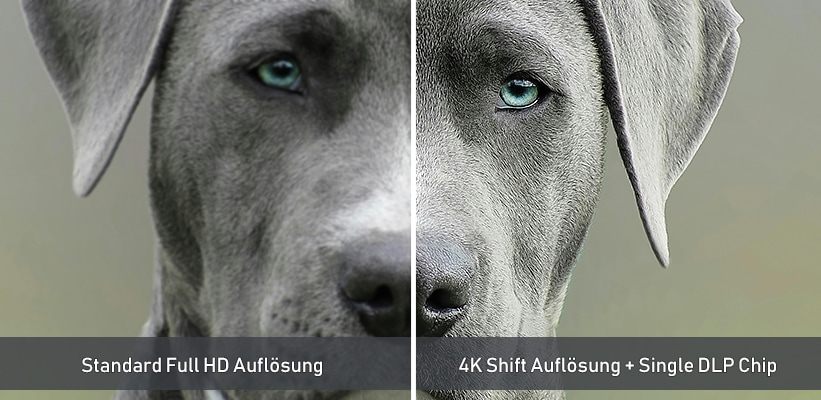 ViewSonic LS901-4K Full HD oder 4K Unterschied