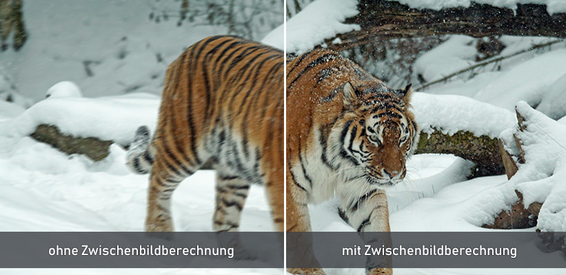 Epson LS670W Frame Interpolation Echtzeit Vergleich