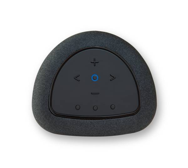 Bluesound PULSE Flex Schwarz - Streaming Kompaktlautsprecher