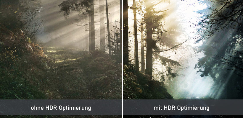Hisense C1 HDR Performance Schwarzwert Vergleich