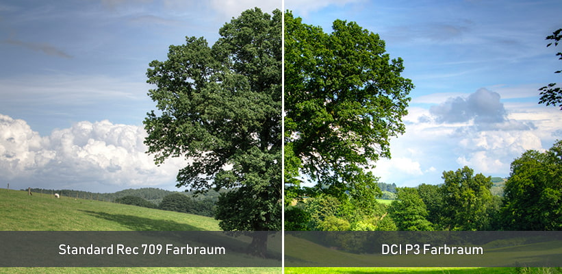Hisense 65U8NQ DCI P3 Farbraum