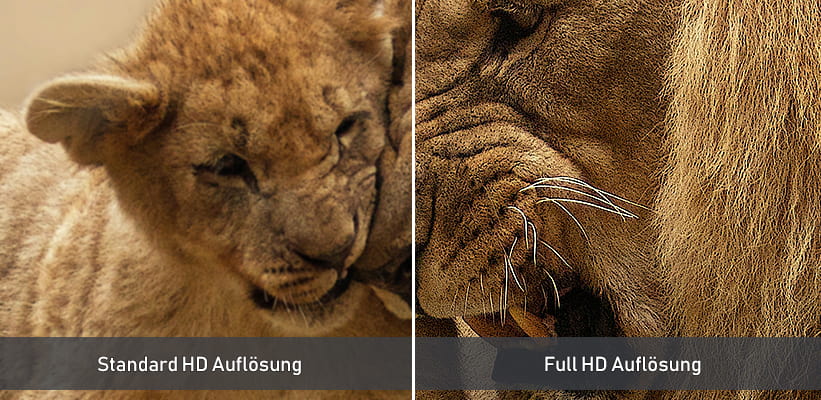 Epson EF-62N Vergleich Aufloesung