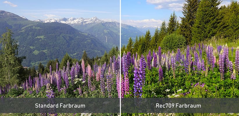 BenQ LK835ST Kino Farbraum Rec709 Praxis