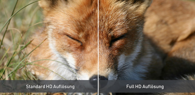 JMGO N1S Nano Full HD Wiedergabe Upscaling