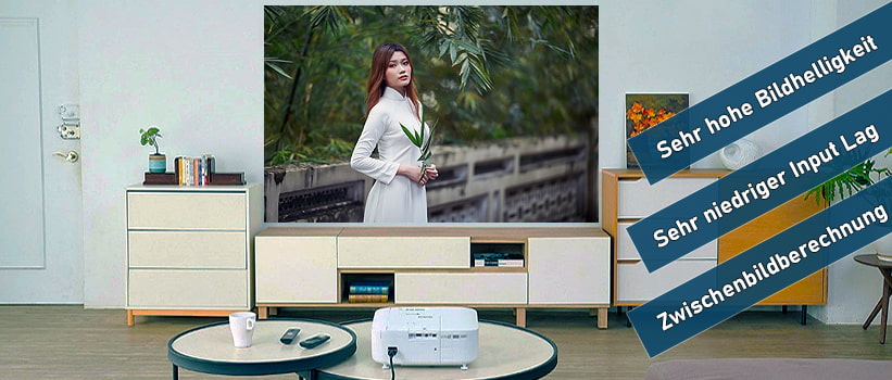 Epson TW6150 Beamer Installation