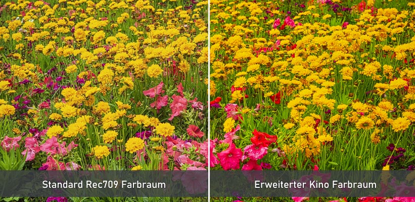 ViewSonic X2000B-4K Laser TV Farbraum Test
