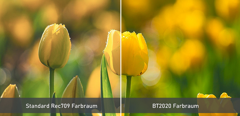 Hisense M2 Pro TriChroma BT2020 Farbraum Vergleich