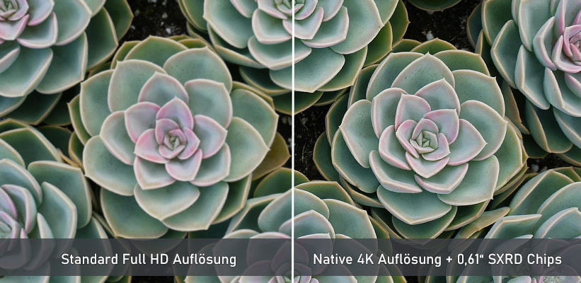 Sony Bravia Projektor 8 VPL-XW6100ES Weiss 4K Bildvorteil