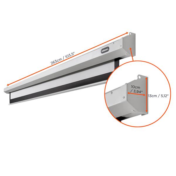 Celexon Leinwand Motor Economy 240 x 135 cm