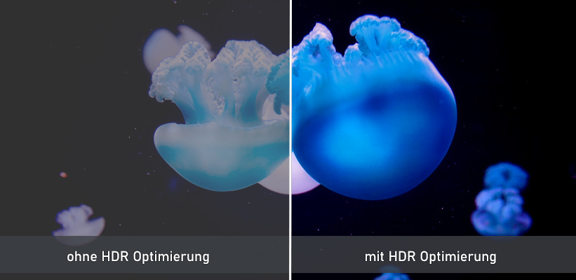 VAVA 4K HDR SDR Vergleich